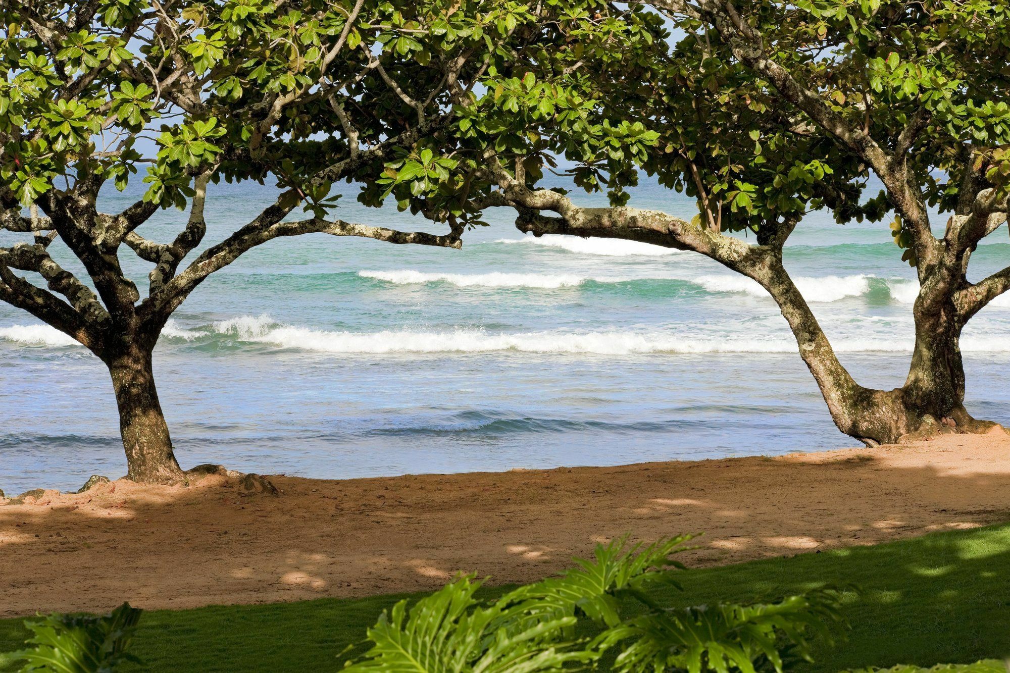 1 Hanalei Bay Resort Princeville